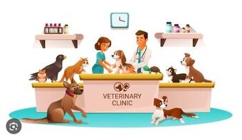 Miesto pre veterinárneho lekára