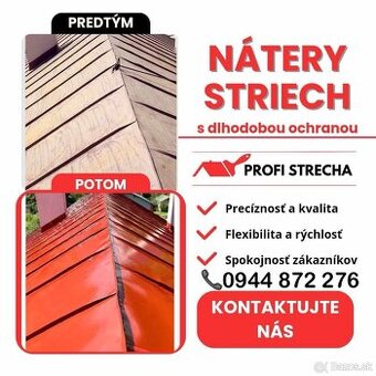 NÁTERY STRIECH Maľovanie strechy