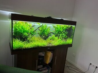 Juwel Rio 240 set komplet