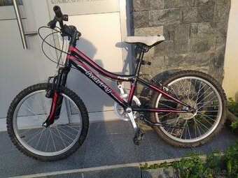 Detský horský bicykel Harry Corky 20"