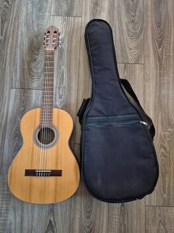 Predam gitaru AMADA 4655B