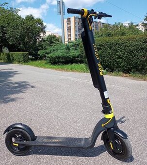 elektrická kolobežka - Bee Free Scooter1