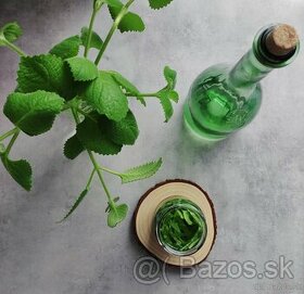 Tinktúra NÁDCHOVNÍK - 1