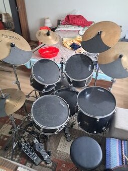 Predam Sonor Force 2001