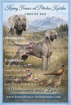 Krytie weimarský stavač