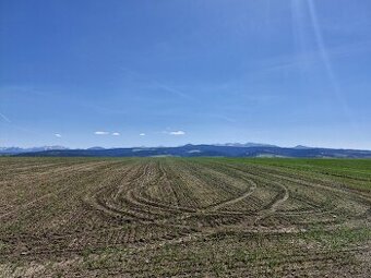 Pozemok orná pôda 2583m2 Trstena