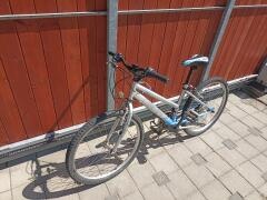 dievčenský dema bike
