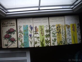 Rastliny pieskov a strání a iné