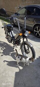 Babeta 210
