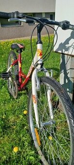 Detský bicykel Dema AGGY 24"
