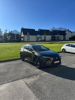 Lexus NX Executive Top