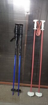 Predam detske lyziarke palice