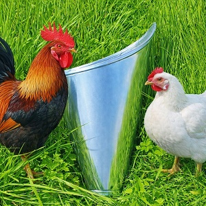 Lievik odkrvovaci porazaci pre sliepky brojlere hydinu