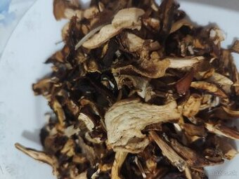 Huby, hríby, kuriatka,lisuvky,kozáky  ,dubaky