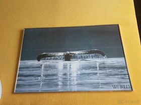 veĽký obraz-chvost veľryby