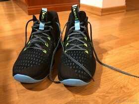 Nike Lebron Witness V v. 43