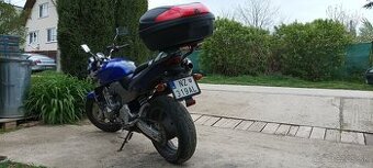 honda hornet cb600f
