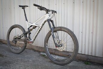 Enduro Expert Carbon