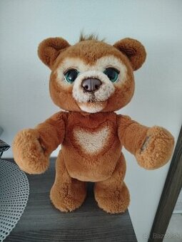 Medveď Cubby