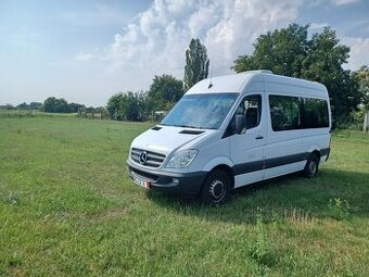 Mercedes sprinter 313