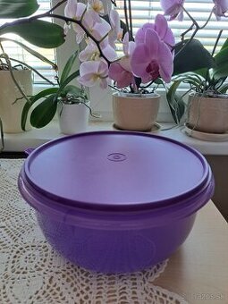 Tupperware kyska 3l
