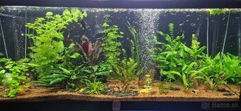 Akvárium 450l