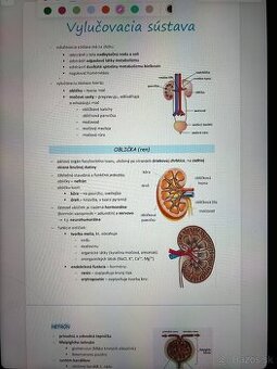 MATERIÁLY NA PRIJÍMAČKY NA MEDICÍNU/PRÍPRAVA NA MATURITU
