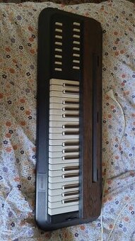 Casio CTK-1300