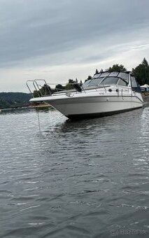Obytna motorova jachta sea ray 290 sundancer