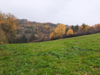 Pozemok pod chatu v Trnovom - 1