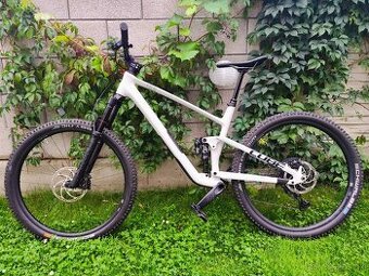 Cube STEREO ONE55 C:62, RACE 29, 2024