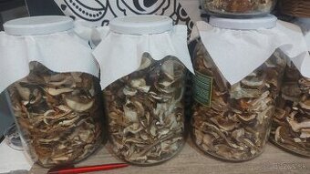 Sušené dubáky osobne v KE