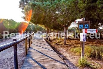 Španělsko, Alicante – Torrevieja, El Chaparral