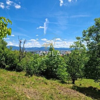 Na predaj rekreačný pozemok 2 920 m², Nové Mesto nad VáhomLo