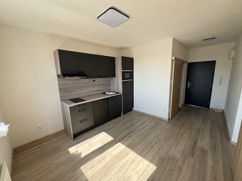Predaj 1-izbový byt s balkónom po rekonštrukcii