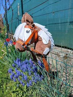 Hobby horse