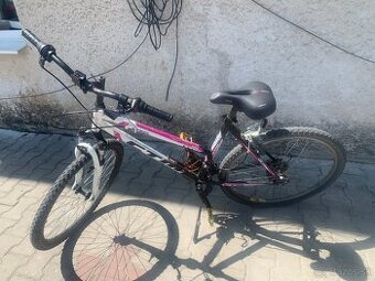 Bicykel CTM Stefi 18