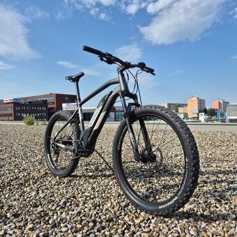 RockRider E-ST 900 XL