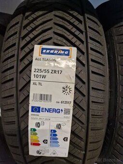 225/55R17 celoročne