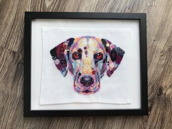 Krížikova výšivka/ obraz Dalmatín