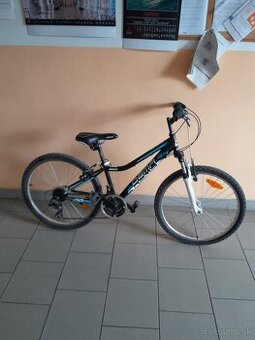Bicykel Dema