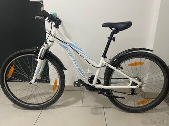 Specialized 24