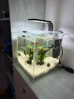Akvárium 20l