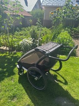 Thule Chariot Lite 2 Agave