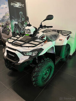 Kawasaki Brute Force 450