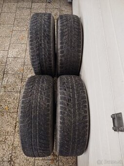 Zimna sada 225/65 R17 106H XL