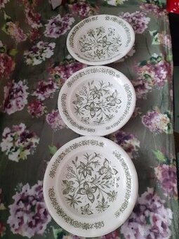 Predám taniere čo je na obrázku