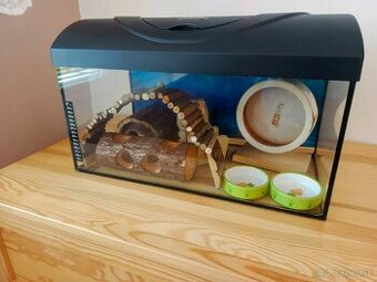 Predám akvárium pre škrečka aj s príslušenstvom