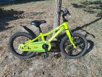 16" detsky bicykel Focus Raven Rookie