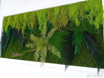 Machový obraz 120x60cm